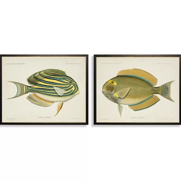 Framed Art-Kirkland's Home Acanthurus Fish Framed Art Prints, Set Of 2 White/Multi