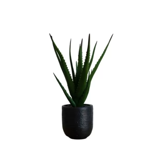 Arrangements & Greenery-Kirkland's Home Agave Arrangement In Black Decorative Pot Green/Black