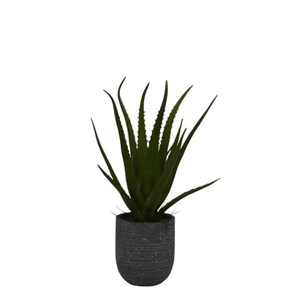 Arrangements & Greenery-Kirkland's Home Agave Arrangement In Gray Decorative Pot Green/Gray