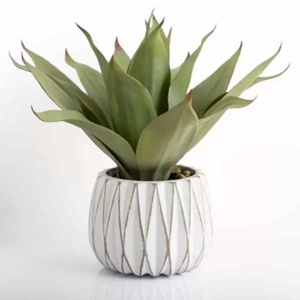 Arrangements & Greenery-Kirkland's Home Agave Succulent In White Pot Green/White