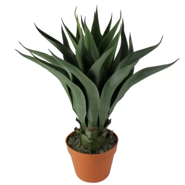 Arrangements & Greenery-Kirkland's Home Agave Succulent Plant In Terracotta Planter Green/Orange