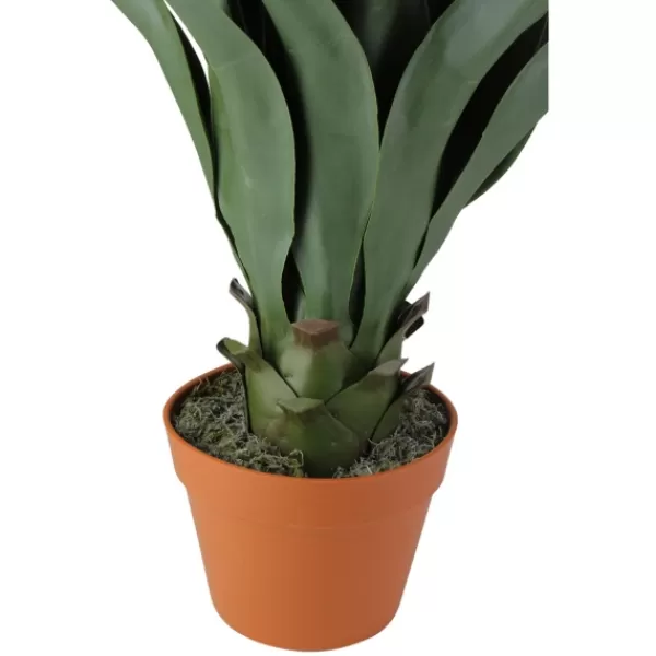 Arrangements & Greenery-Kirkland's Home Agave Succulent Plant In Terracotta Planter Green/Orange