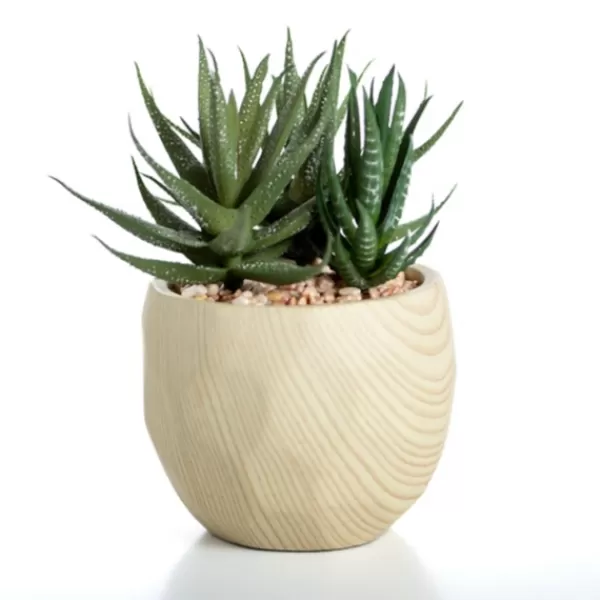 Arrangements & Greenery-Kirkland's Home Aloe Succulent Arrangement In Natural Pot Green