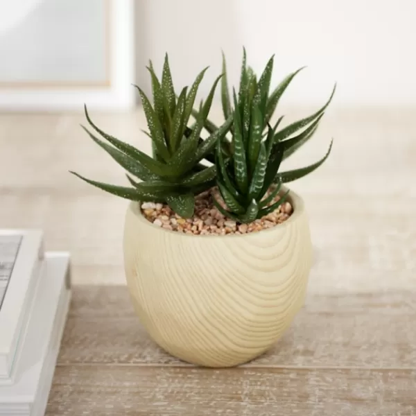 Arrangements & Greenery-Kirkland's Home Aloe Succulent Arrangement In Natural Pot Green