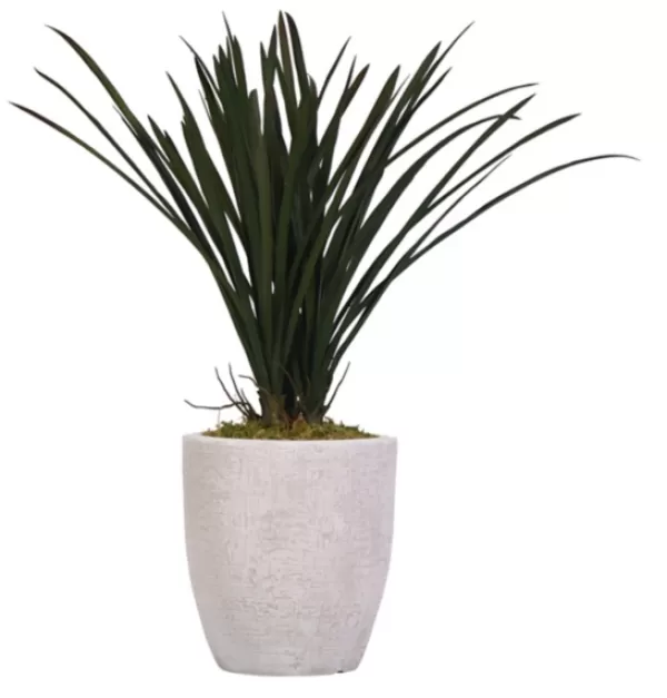 Arrangements & Greenery-Kirkland's Home Areca Grass In Mossy White Planter Green/White