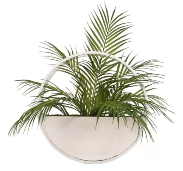 Arrangements & Greenery-Kirkland's Home Areca Palm In Round Sonce Planter Green/White