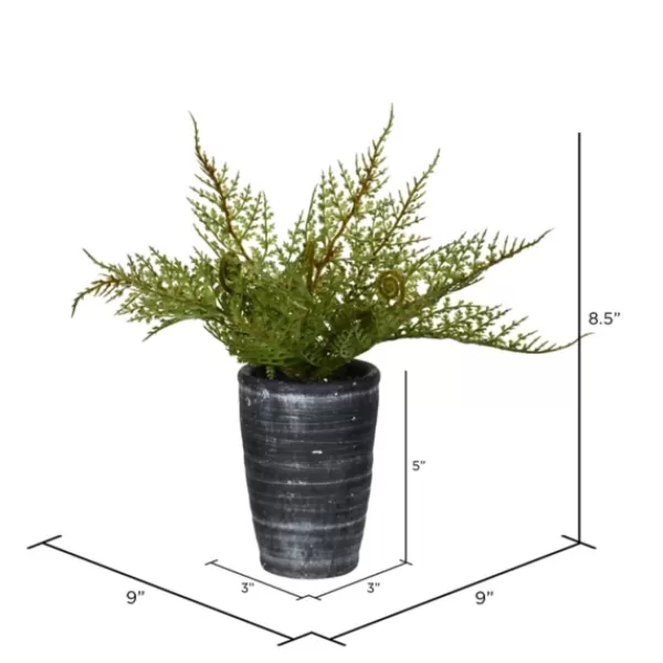 Arrangements & Greenery-Kirkland's Home Asparagus Fern In Tall Black Planter Green/Black