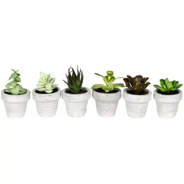 Arrangements & Greenery-Kirkland's Home Assorted Potted Succulent Arrangements, Set Of 6 Green/White