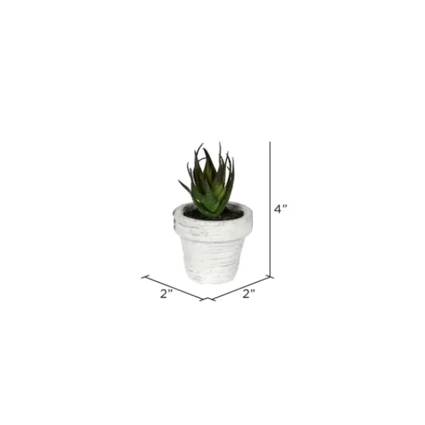 Arrangements & Greenery-Kirkland's Home Assorted Potted Succulent Arrangements, Set Of 6 Green/White
