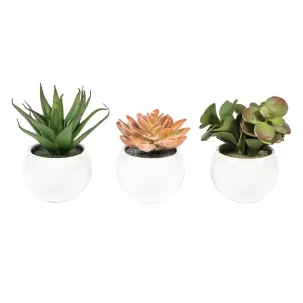 Arrangements & Greenery-Kirkland's Home Assorted Succulents In White Planters, Set Of 3 Green/White/Orange
