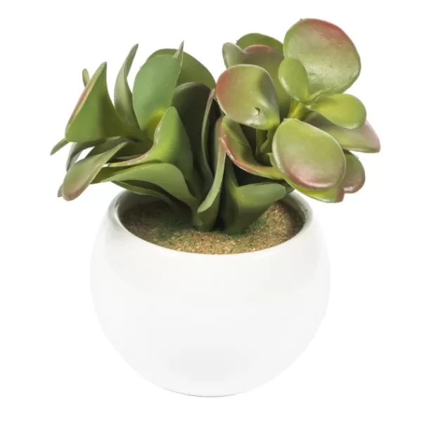 Arrangements & Greenery-Kirkland's Home Assorted Succulents In White Planters, Set Of 3 Green/White/Orange