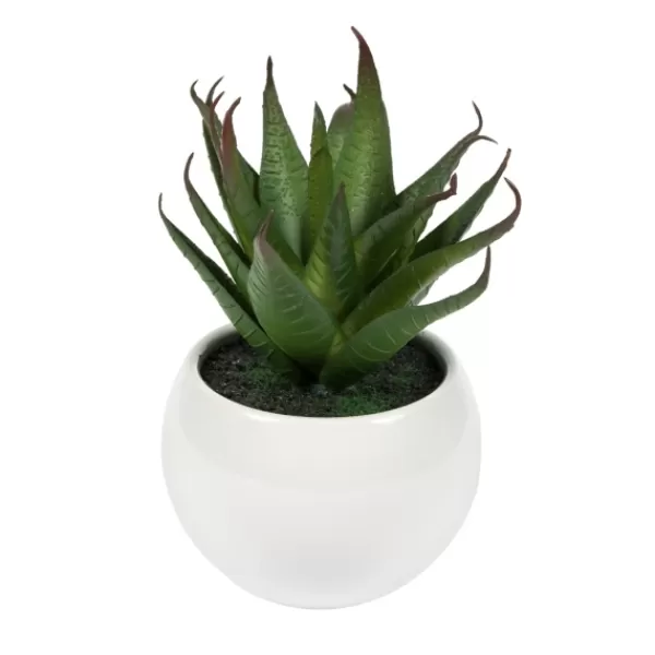 Arrangements & Greenery-Kirkland's Home Assorted Succulents In White Planters, Set Of 3 Green/White/Orange