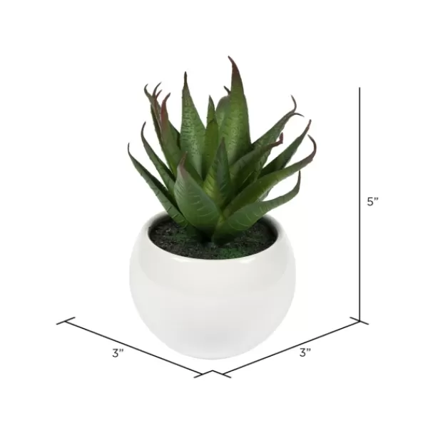 Arrangements & Greenery-Kirkland's Home Assorted Succulents In White Planters, Set Of 3 Green/White/Orange