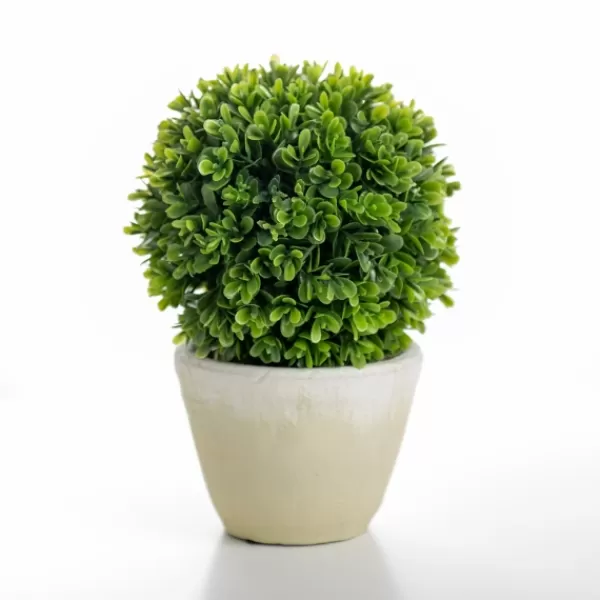 Arrangements & Greenery-Kirkland's Home Ball Boxwood Topiary In Cement Planter Green/Ivory