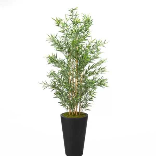 Trees & Topiaries-Kirkland's Home Bamboo Tree In Round Black Planter