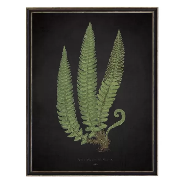 Framed Art-Kirkland's Home Black Fern I Framed Art Print Green/Black