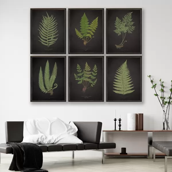 Framed Art-Kirkland's Home Black Fern I Framed Art Print Green/Black