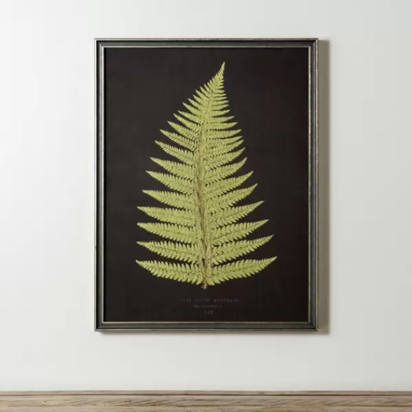 Framed Art-Kirkland's Home Black Fern Iv Framed Art Print Green/Black