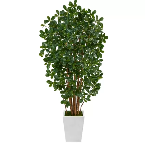 Trees & Topiaries-Kirkland's Home Black Olive Tree In White Planter, 5.5 Ft.