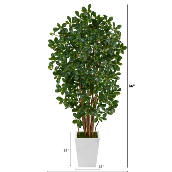 Trees & Topiaries-Kirkland's Home Black Olive Tree In White Planter, 5.5 Ft.