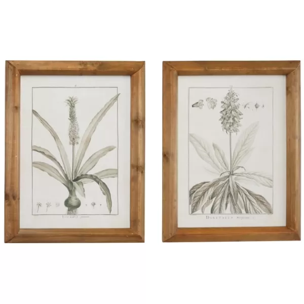 Framed Art-Kirkland's Home Black White Vintage Botanical Framed Art, Set Of 2 Black/White