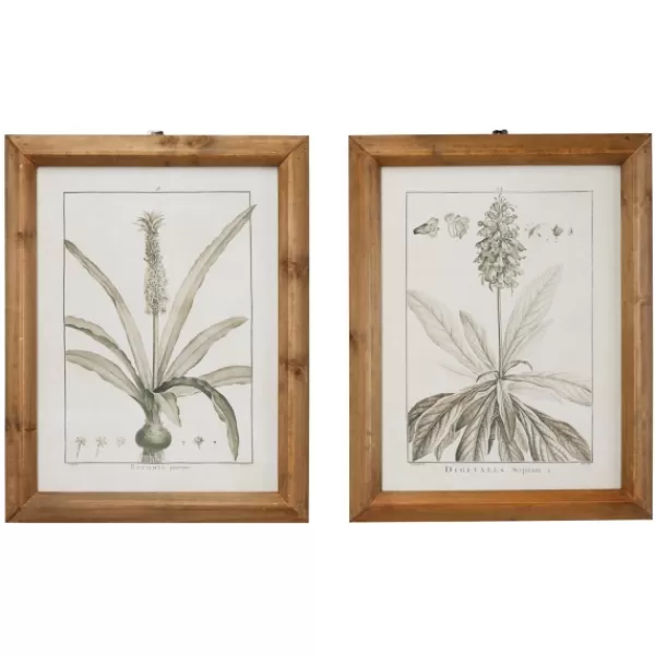 Framed Art-Kirkland's Home Black White Vintage Botanical Framed Art, Set Of 2 Black/White