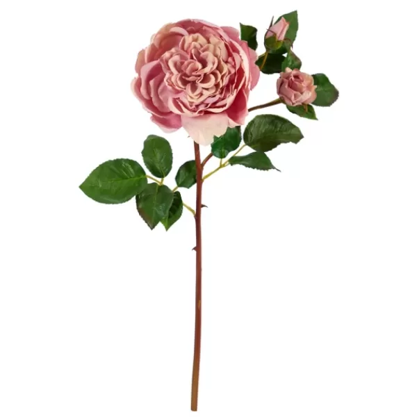 Stems & Bouquets-Kirkland's Home Blush Blooming Rose Stems, Set Of 6 Pink