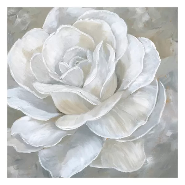 Canvas Art-Kirkland's Home Bombshell Bloom Ii Canvas Art Print, 20X20 In. White/Gray