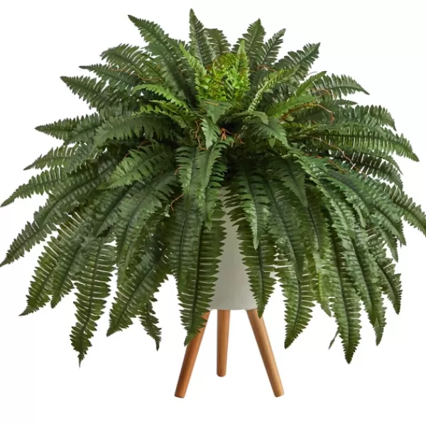 Trees & Topiaries-Kirkland's Home Boston Fern Arrangement In White Planter