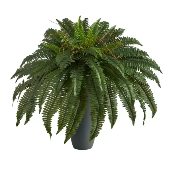 Arrangements & Greenery-Kirkland's Home Boston Fern In Oblong Gray Planter Green/Gray