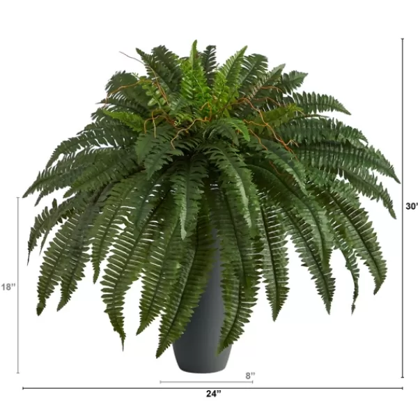 Arrangements & Greenery-Kirkland's Home Boston Fern In Oblong Gray Planter Green/Gray