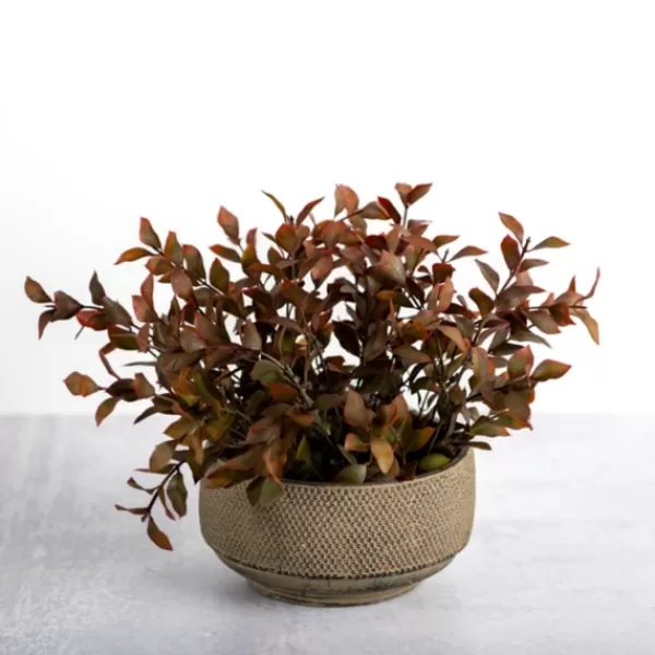 Arrangements & Greenery-Kirkland's Home Boxwood Arrangement In Ceramic Pot Brown