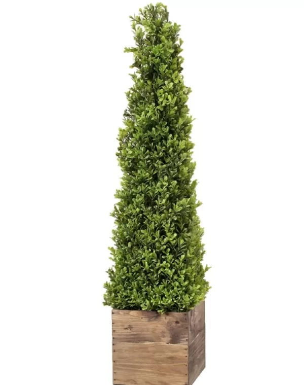 Trees & Topiaries-Kirkland's Home Boxwood Obelisk In Wood Planter, 36 In.