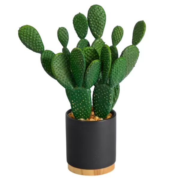 Arrangements & Greenery-Kirkland's Home Bunny Ear Cactus In Black Mod Planter Green/Black