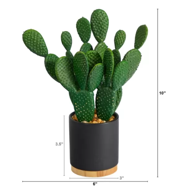 Arrangements & Greenery-Kirkland's Home Bunny Ear Cactus In Black Mod Planter Green/Black