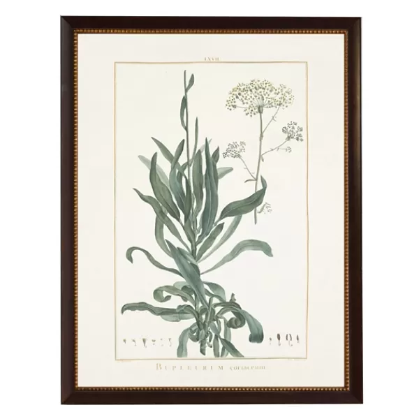 Framed Art-Kirkland's Home Bupleurum Greenery Black Beaded Framed Art Print Tan/Green