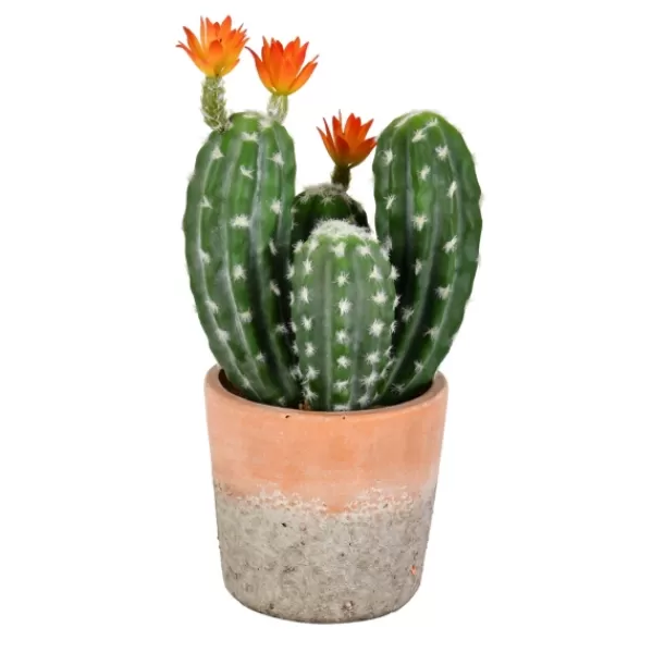 Arrangements & Greenery-Kirkland's Home Cactus In Clay Pot, 14 In. Green