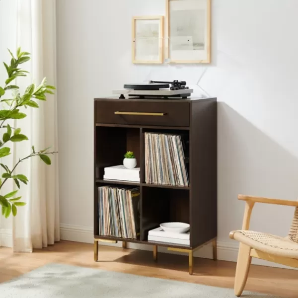 Bookshelves-Kirkland's Home Cadence Gold Record Storage Bookcase