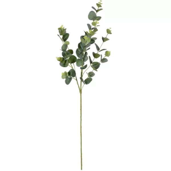 Stems & Bouquets-Kirkland's Home Cinerea Eucalyptus Leaf Stems, Set Of 4 Green