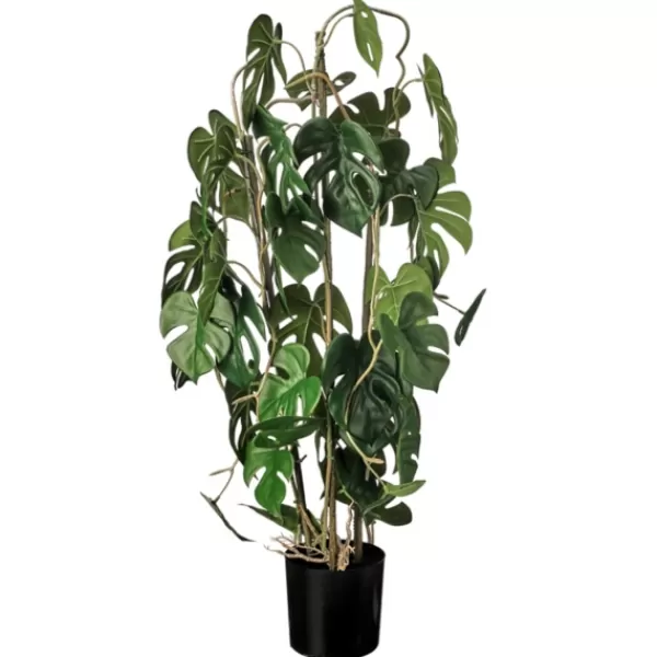 Trees & Topiaries-Kirkland's Home Climbing Split Leaf Philodendron Plant