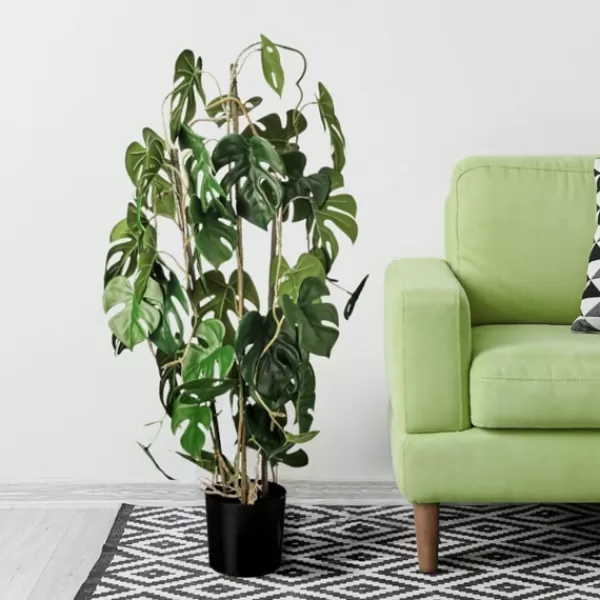 Trees & Topiaries-Kirkland's Home Climbing Split Leaf Philodendron Plant