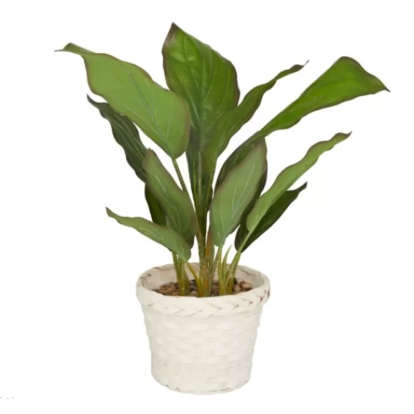 Arrangements & Greenery-Kirkland's Home Coastal Foliage In Woven Bamboo Planter Green/White