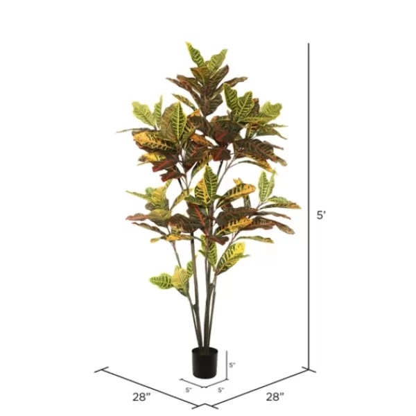 Trees & Topiaries-Kirkland's Home Colorful Croton Tree In Black Planter, 5 Ft.