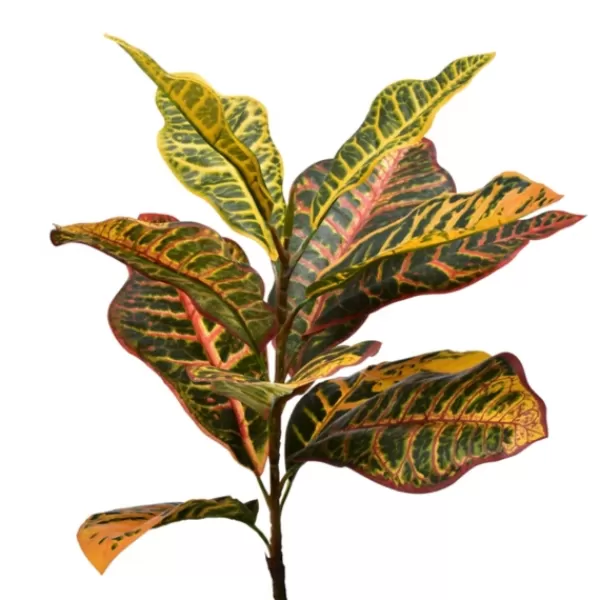 Trees & Topiaries-Kirkland's Home Colorful Croton Tree In Black Planter, 7 Ft.