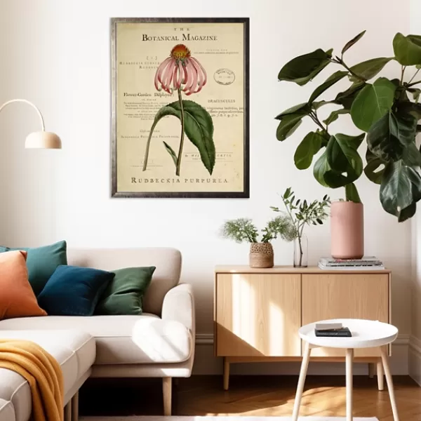 Framed Art-Kirkland's Home Coneflower Botanical Magazine Framed Art Print Multi