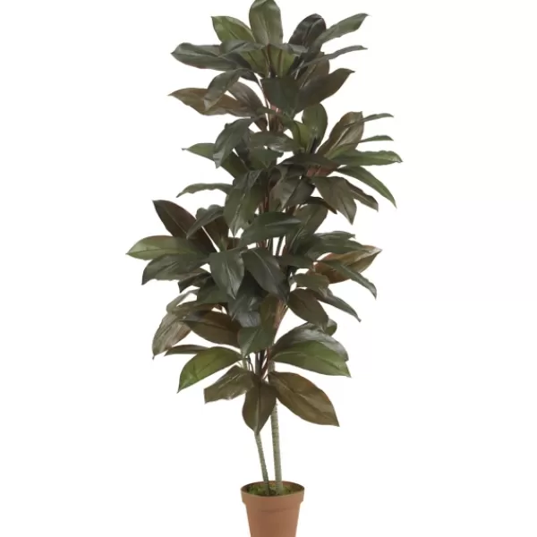 Trees & Topiaries-Kirkland's Home Cordyline Plant In Terracotta Planter Green