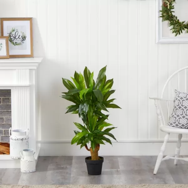 Trees & Topiaries-Kirkland's Home Corn Stalk Dracaena Plant In Black Planter