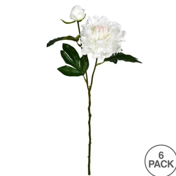 Stems & Bouquets-Kirkland's Home Cream Blooming Peony Stems, Set Of 6 Ivory