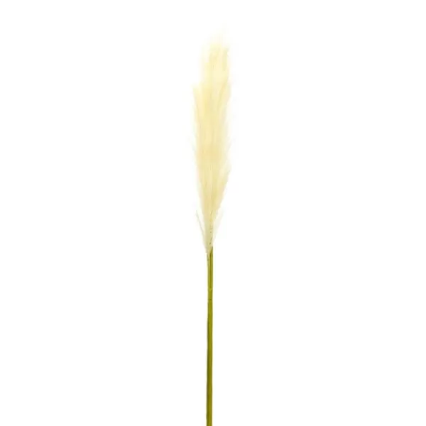 Stems & Bouquets-Kirkland's Home Cream Pampas Stems, Set Of 4 Ivory/Green