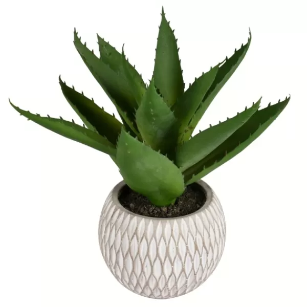 Arrangements & Greenery-Kirkland's Home Deep Aloe Leaves In Ceramic Container Green